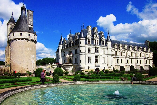 Loire Valley Royal Castles Guided Small group Day Trip from Paris - Plou et Fils Wine Tasting: Seven Wines With Context