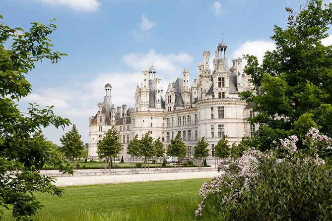 Loire Valley Wines and Castle Small Group Day Trip from Paris - Why the small-group size matters (and how it changes your day)