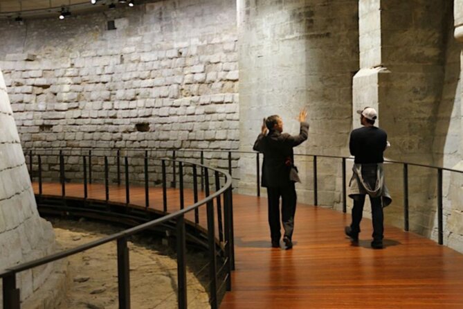 Louvre Museum Access Guided Tour with Mona Lisa - Meeting at the Cour Napoléon: Getting Started Without Confusion