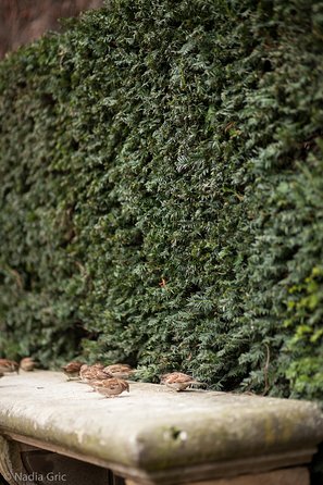 Marais semi private walking tour - What to know before you go: duration, meeting points, and comfort