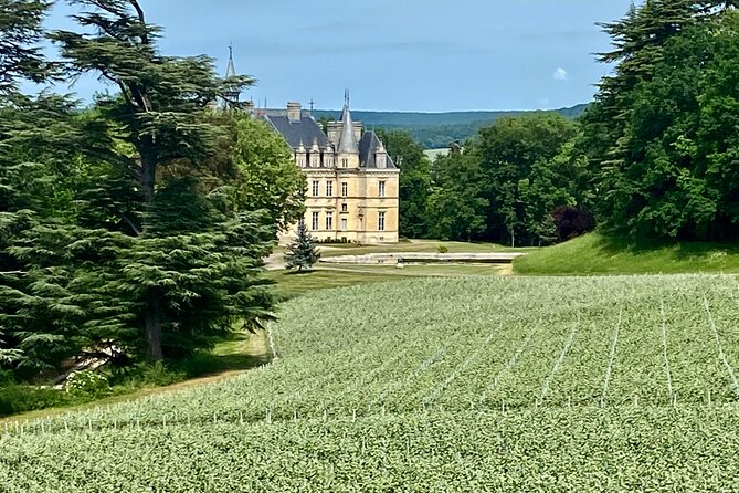 Moet et Chandon Veuve Clicquot Pommery Private Champagne Day trip - Veuve Clicquot Domaine: guided cellars with tastings that match your level
