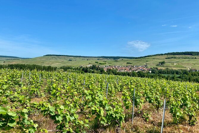 Moet et Chandon Veuve Clicquot Private Champagne trip from Paris - Moët et Chandon (10:00–12:00): Cellars, Glasses, and Choosing the Right Option