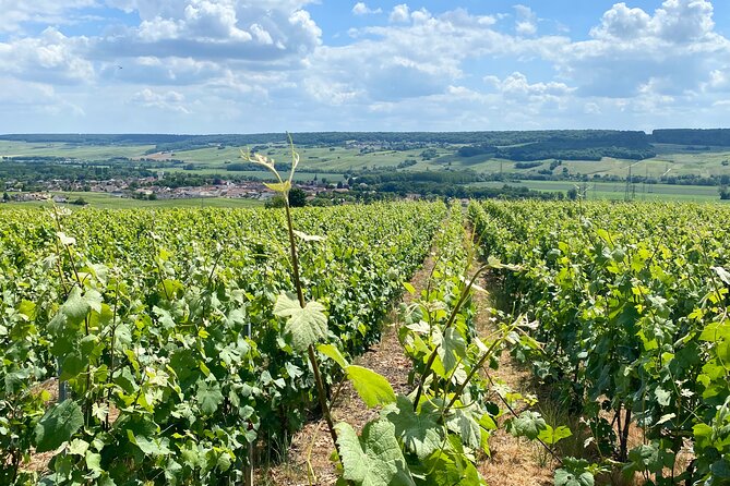 Moet et Chandon Veuve Clicquot Private Champagne trip from Paris - Reims Cathedral Self-Guided (16:30–17:00): A Quick Hit That Works