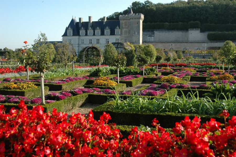 Mont Saint-Michel & Chateaux Country 3-Day Tour from Paris - Guides and Bus Comfort: When It Goes Right