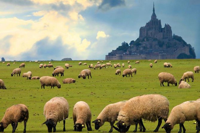 Mont Saint-Michel Day Trip from Paris with Abbey Ticket - The Paris-to-Normandy Drive: What You Gain by Not Stressing Transit