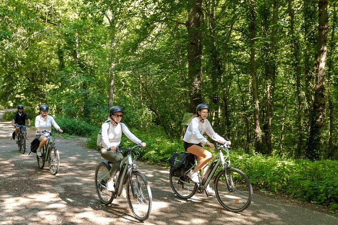 Nature electric bike ride from Paris to Versailles - Arriving in Versailles: Tree-Lined Avenues to the Place d’Armes
