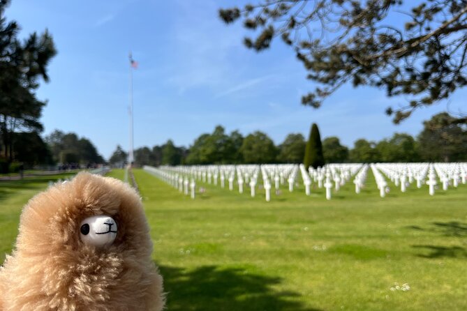 Normandy D-day landing beaches & Caen Memorial Private Tour - Caen Memorial: Setting the Tone Before Omaha and the Cliffs