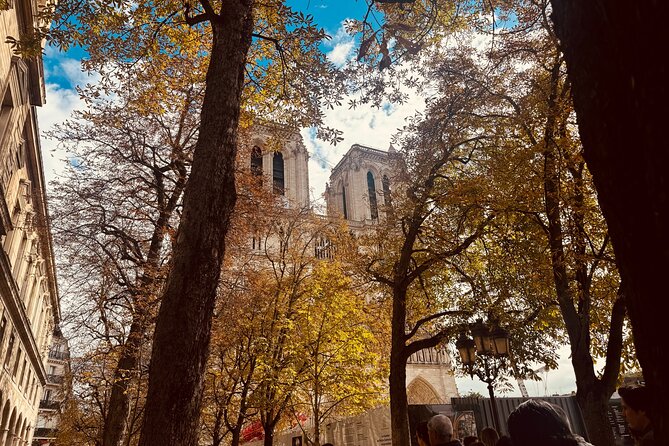Notre-Dame Cathedral Access and Outdoor Walking Tour - Restoration after the 2019 fire: what you’ll learn while you’re standing there