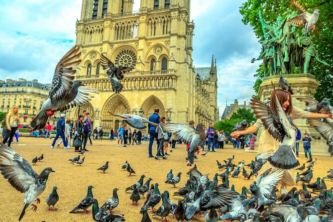 Notre-Dame Cathedral Tour with Audioguide (no ticket) - Headphones, app, and the offline map: the tech side that can make or break it