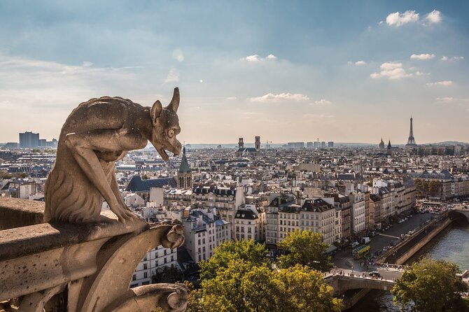 Notre Dame de Paris: Semi Private or Private Guided Tour Guide - Meeting your guide at Notre-Dame and how the tour runs