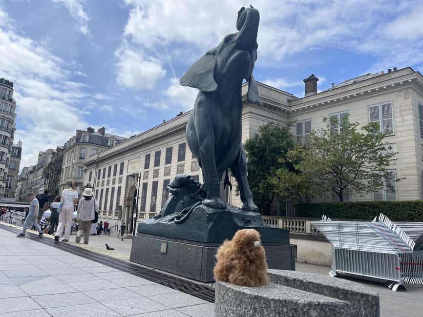Orsay Museum: Museum Ticket Entry & 2h Private Guided Tour - Key Highlights You’ll Actually Feel in the Museum