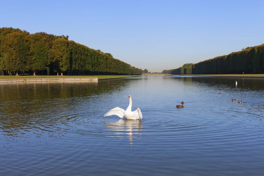 Palace of Versailles Guided Afternoon Tour from Paris - What the “guided + free” format gets right (and where it can frustrate)