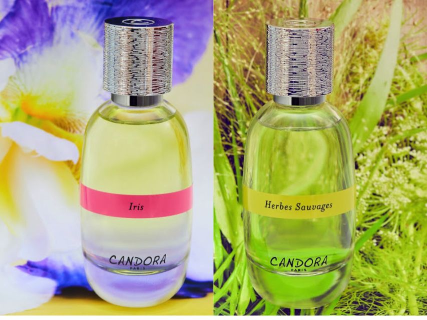 Paris: 2-Hour Perfume Creation Workshop - Key highlights you’ll care about