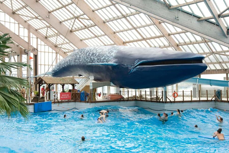 Paris: Aquaboulevard Water Park Entrance Ticket - Should you book Aquaboulevard Water Park in Paris?