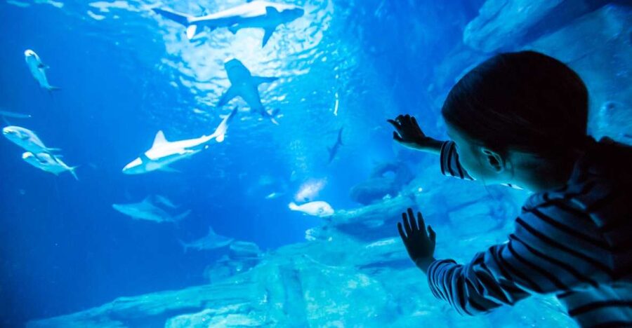 Paris: Aquarium de Paris Entrance Ticket - Key things to love about Aquarium de Paris