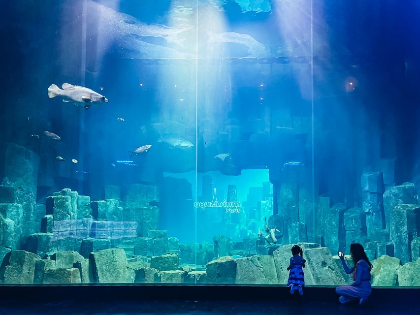 Paris: Aquarium de Paris Entrance Ticket - The tunnel under the big tank: close-up shark viewing