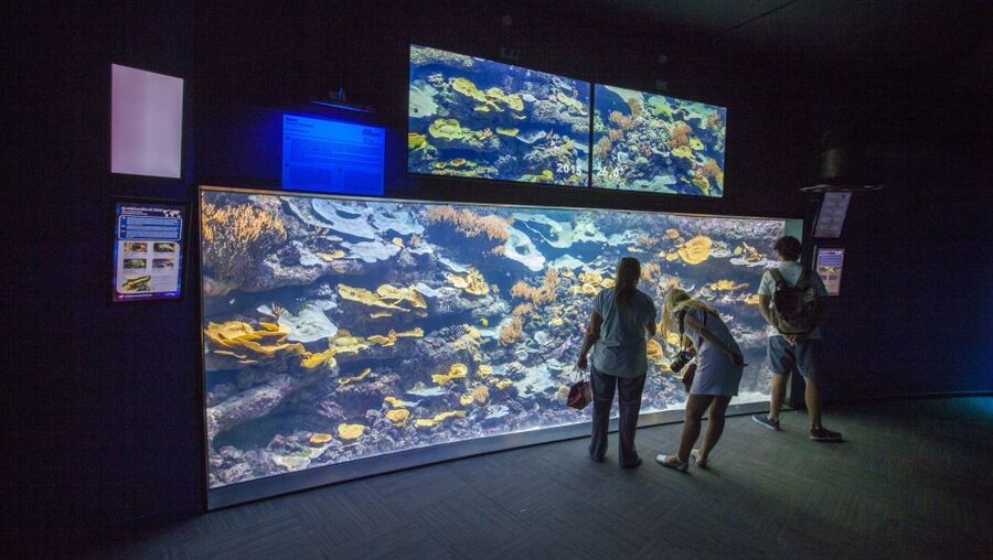 Paris: Aquarium de Paris Entrance Ticket - Touch pool and koi: hands-on fun with a real-time reality check