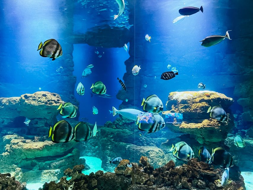 Paris: Aquarium de Paris Entrance Ticket - Cinema + live shows: fish-themed entertainment that keeps kids engaged