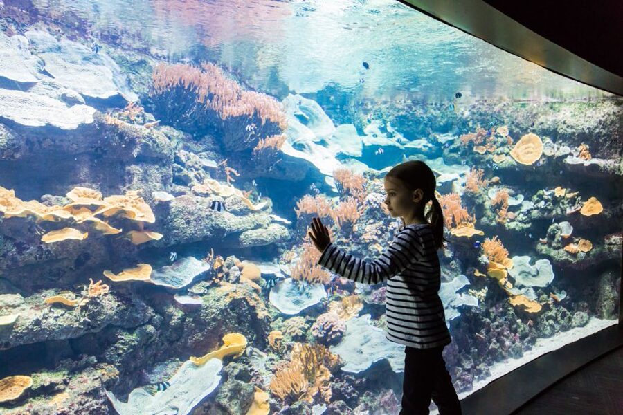 Paris: Aquarium de Paris Entrance Ticket - Value in Paris: is the price fair for what you get?