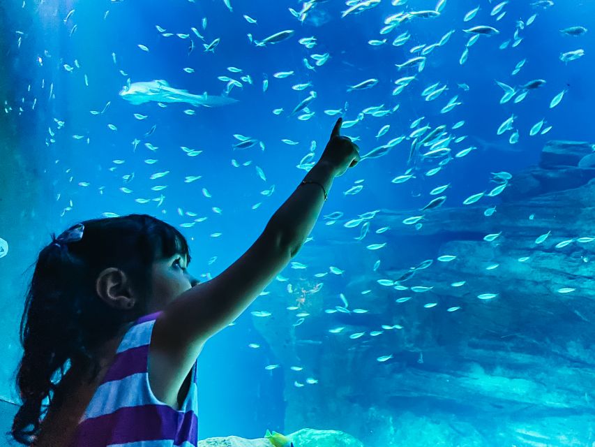 Paris: Aquarium de Paris Entrance Ticket - Your first tanks: jellyfish, sea urchins, clownfish, and stingrays