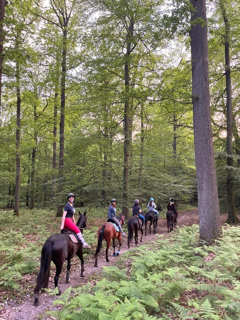 Paris: Aumont-en-Halatte Horseback Riding Tour - Practical Tips Before You Go (Small Stuff That Matters)