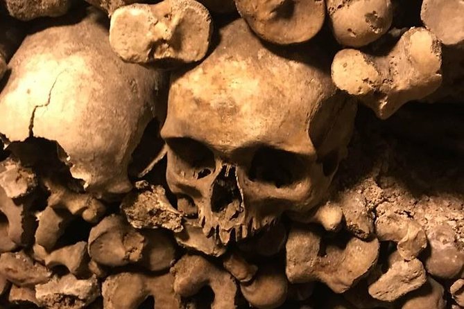 Paris Catacombs Guided Tour - Optional Seine river cruise add-on: use it later, not just today