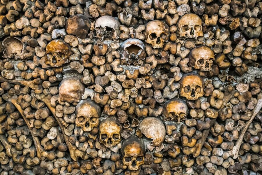 Paris: Catacombs Restricted Access Tour - Rooms most people miss: what restricted access changes