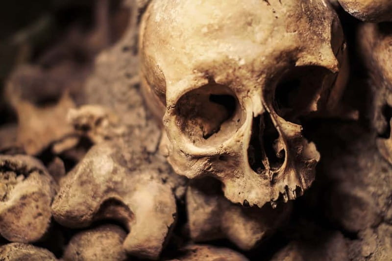 Paris: Catacombs Special Access Tour - The restricted-gates factor: what makes this tour worth it