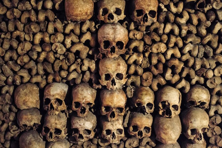 Paris: Catacombs Special Access Tour - Who should book this (and who should pass)