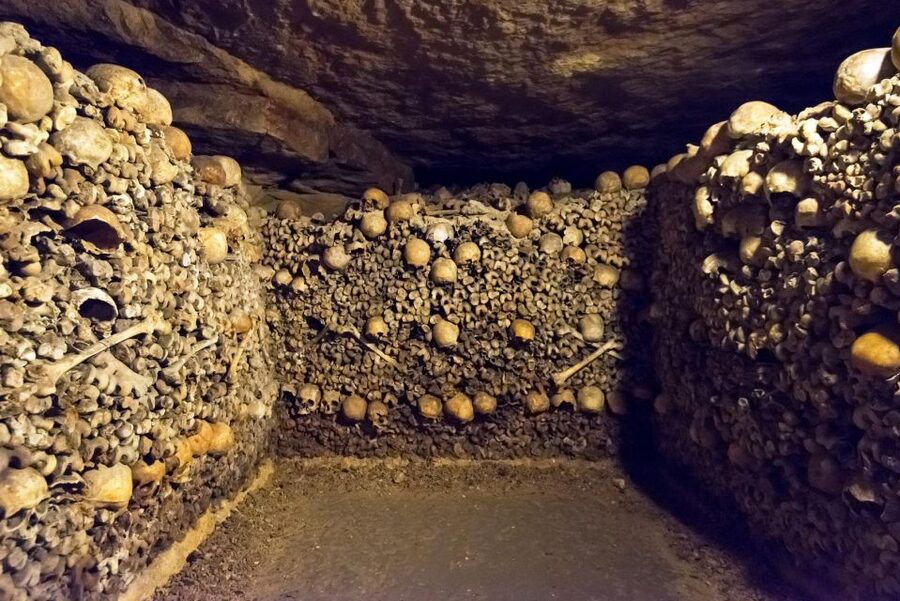 Paris: Catacombs Ticket and Seine River Cruise - Key points to know before you go