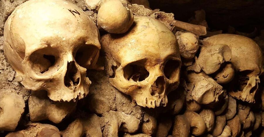 Paris: Catacombs Ticket and Seine River Cruise - Catacombs at street level: what the entry experience is like
