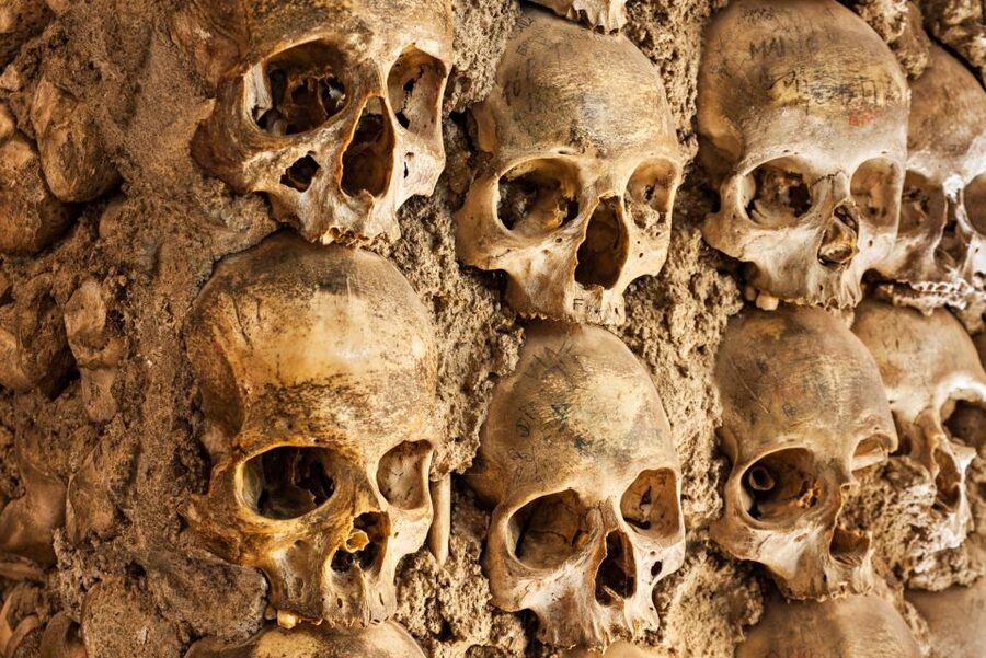 Paris: Catacombs Ticket and Seine River Cruise - After the Catacombs: switching gears to the Seine