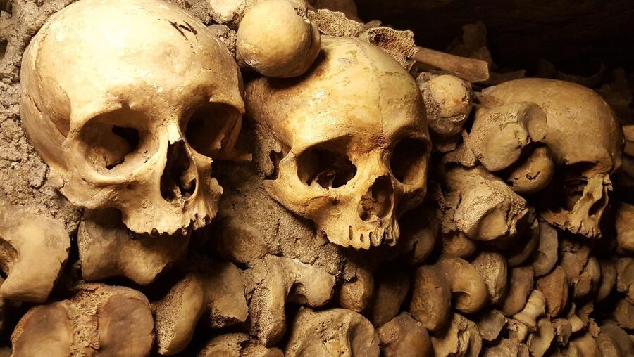 Paris: Catacombs Ticket and Seine River Cruise - What to bring (and what not to) for a smooth day