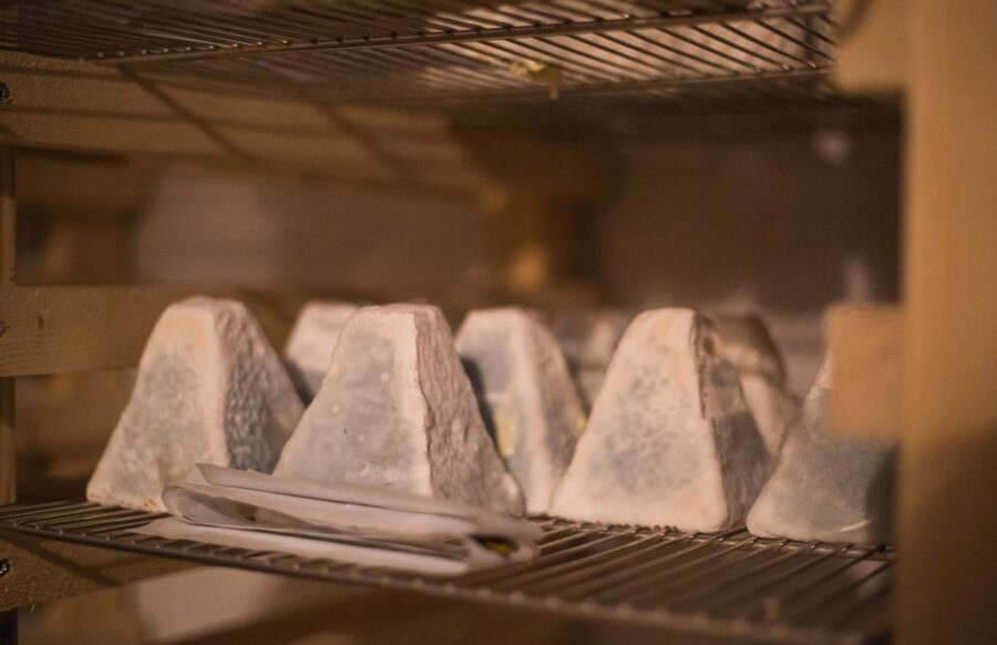 Paris: Cheese and Wine Class in a 17th Century Cellar - Why This 17th-Century Cellar Tasting Works So Well