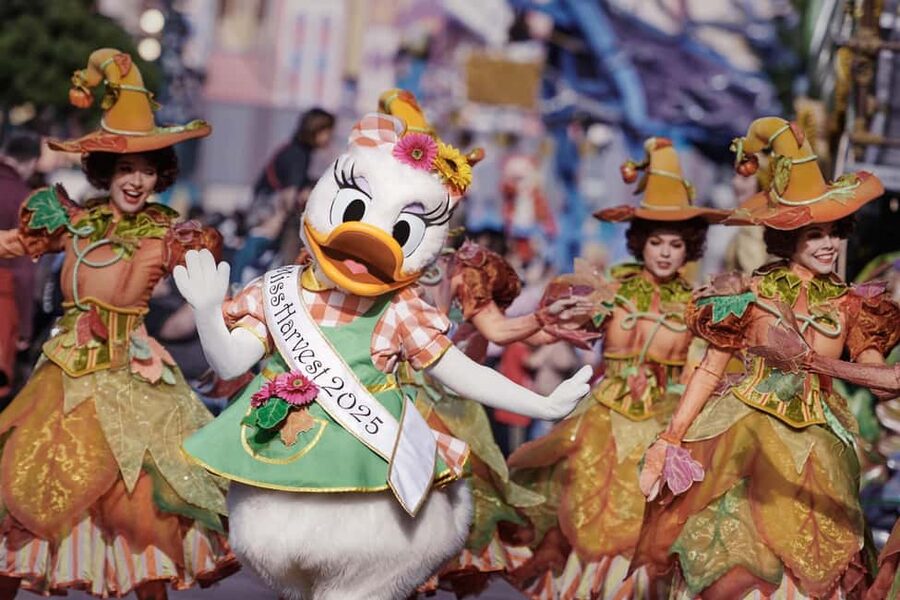 Paris: Disneyland Paris Ticket with Transfer - Ticket choices: one park vs both, and why it changes everything
