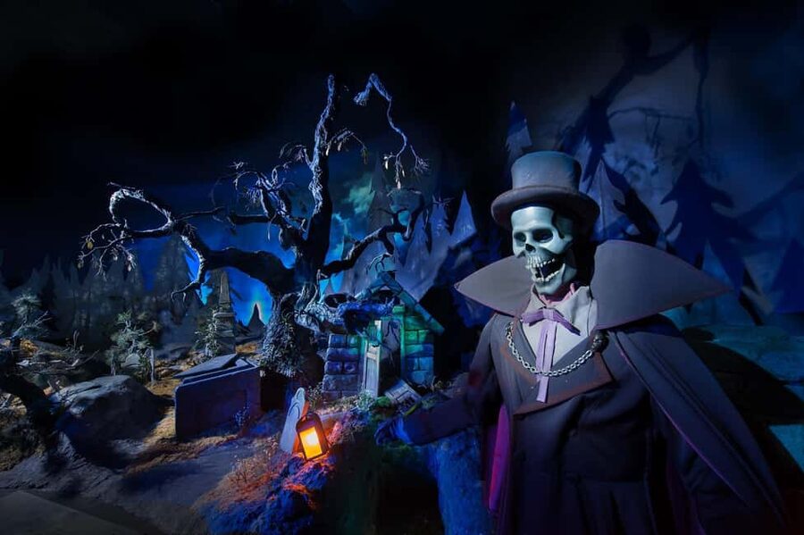 Paris: Disneyland Paris Ticket with Transfer - Your 10 hours in the parks: what you can actually expect