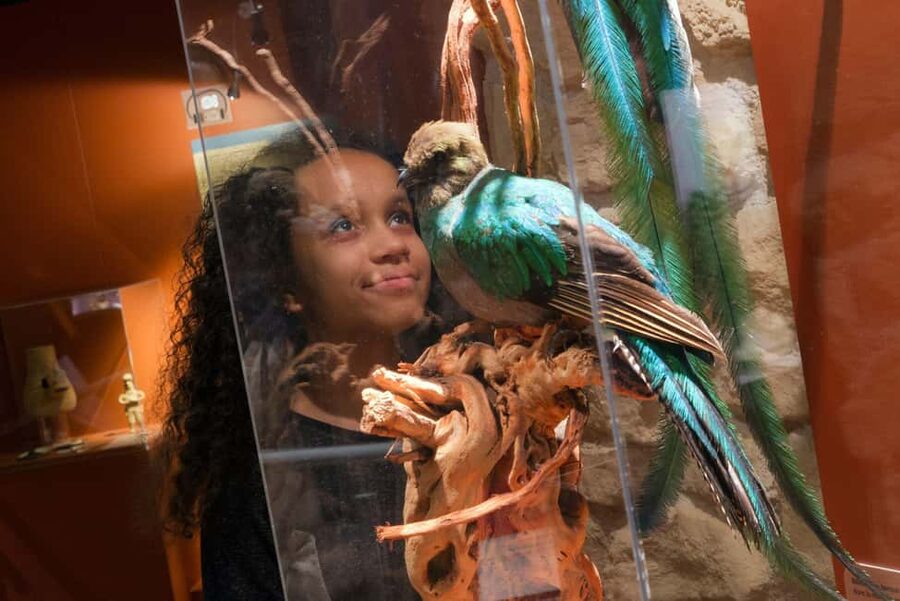 Paris: Entrance Ticket to the Chocolate Museum - Key Highlights You’ll Care About