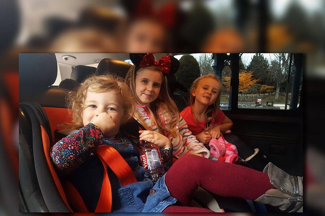 PARIS - Euro Disney (One Way) Private Shuttle Transfer - The timing reality: about 60 minutes, but plan for traffic