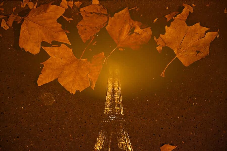 Paris: Experience the magic of Christmas on a walk with a pro photographer - Price and value: what $70 buys you in real terms