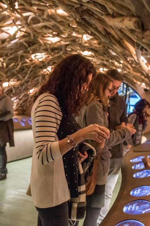 Paris: French Wine Experience in Parisian Cellar - How you’ll experience wine-making, grape to bottle