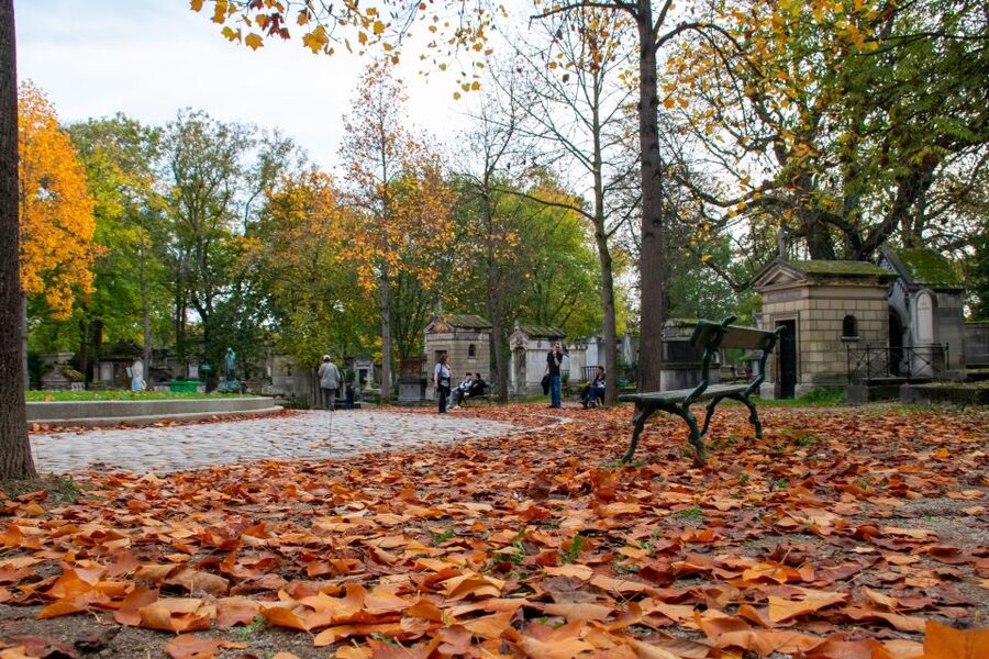 Paris: Full-Day Custom Tour with Local Guide - Notre-Dame area and Le Marais: walking through layers, not just landmarks