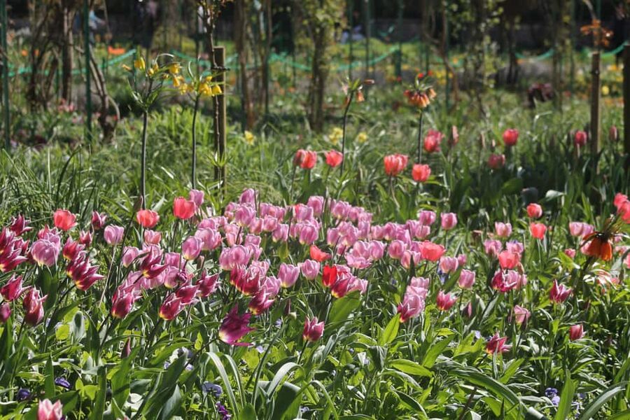 Paris: Giverny Gardens Day Trip with Professional Tour Guide - Giverny village time: art shops, cafés, and a calmer pace