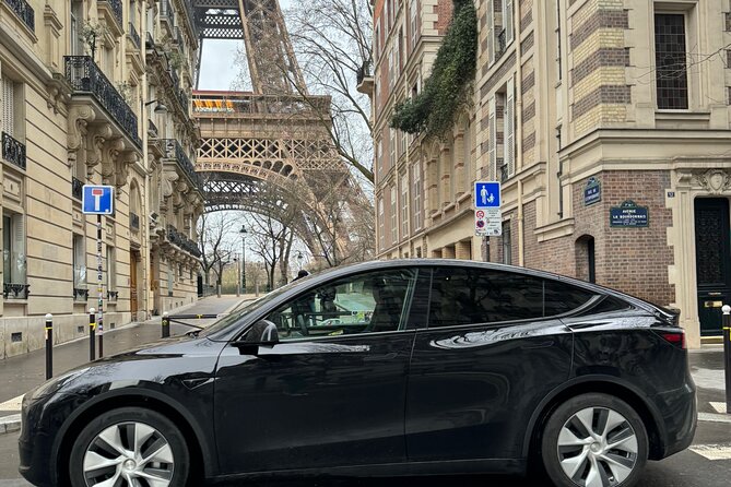 Paris Highlights Private and Customizable Tour - Why a Private Driver Is Worth It in Paris Traffic