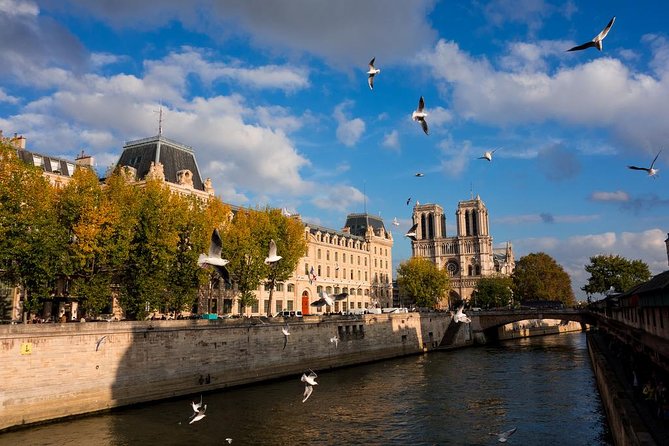 Paris Highlights Private Tour - All Paris in one day ! - Arc de Triomphe: the climb that makes the day click