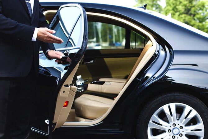 Paris highlights sightseeing tour with private Transportation - Montmartre in 45 Minutes: You’ll See the Feel, Not the Full Hill
