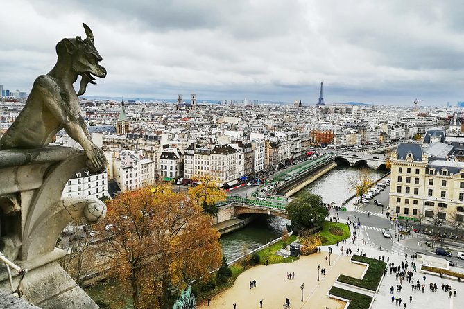 Paris in a Day - Private Experience - Notre-Dame (15 Minutes): What You Can See Now