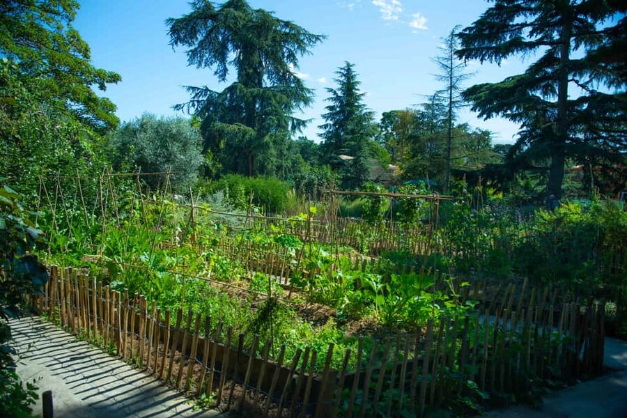 Paris : Jardin d'Acclimatation Entry Ticket without ride - The Gardens and Tree-Lined Promenades: Your Main Event