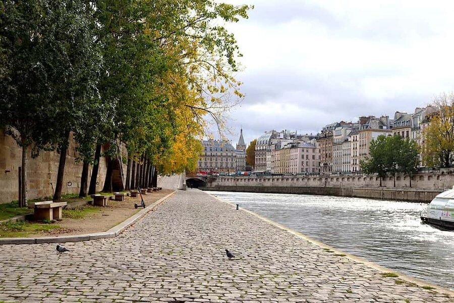 Paris: Latin Quarter Walking Tour with Local Guide - Saint-Julien-le-Pauvre: medieval carvings and stained glass