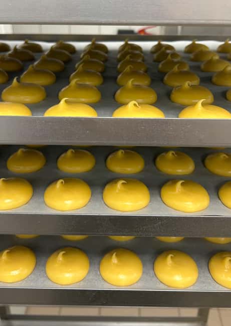 Paris: Macaron Baking Class - Key highlights to know before you go