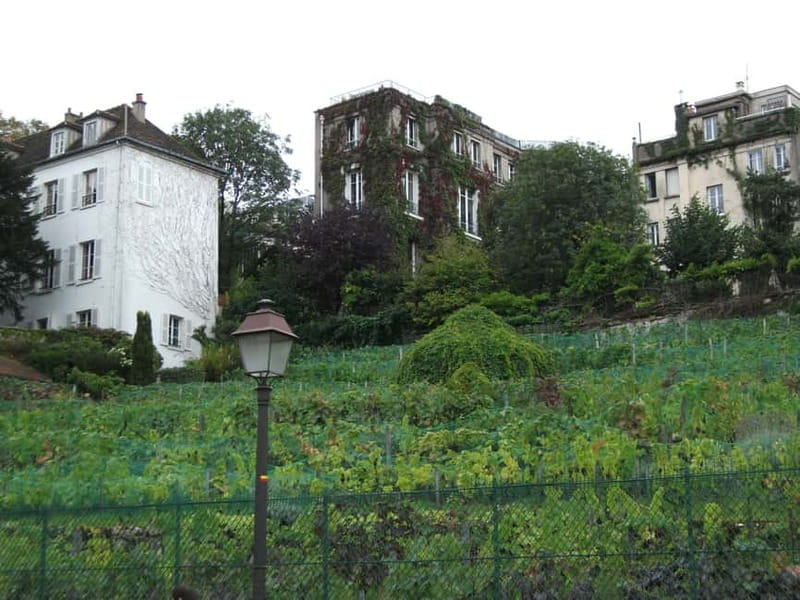 Paris: Montmartre Private Guided Walking Tour - Metro Blanche to Moulin Rouge: cabaret history without the sugarcoat